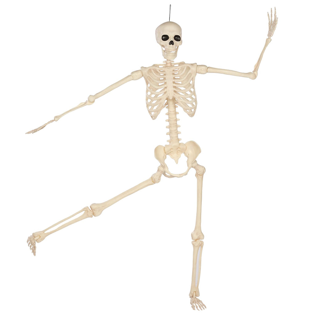 5 Ft Life-Size Full Body Skeletons Z78165
