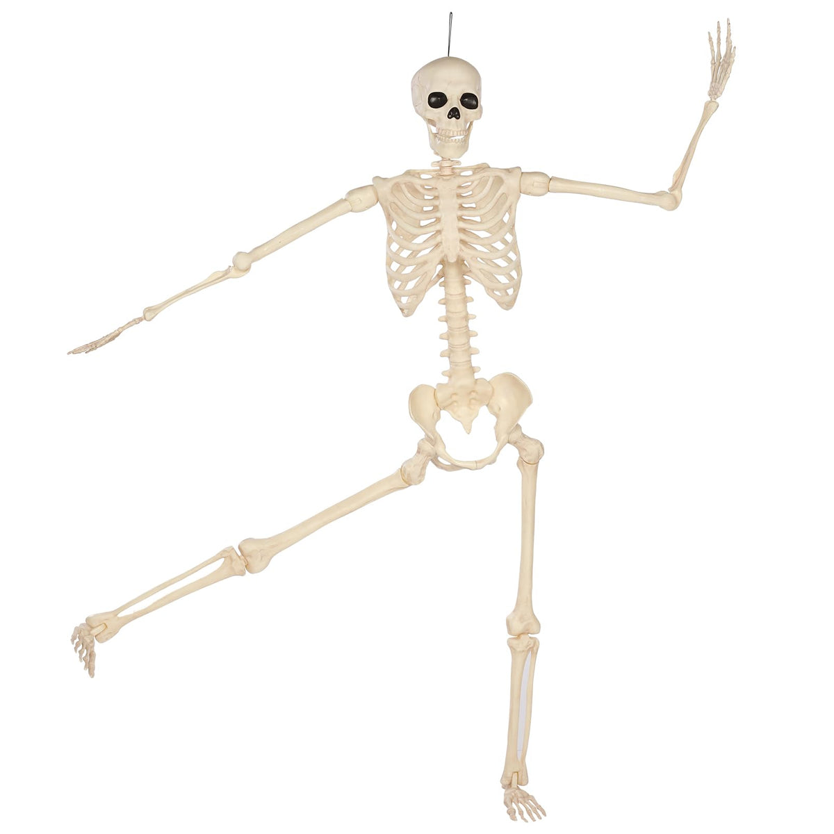 5 Ft Life-Size Full Body Skeletons Z78165