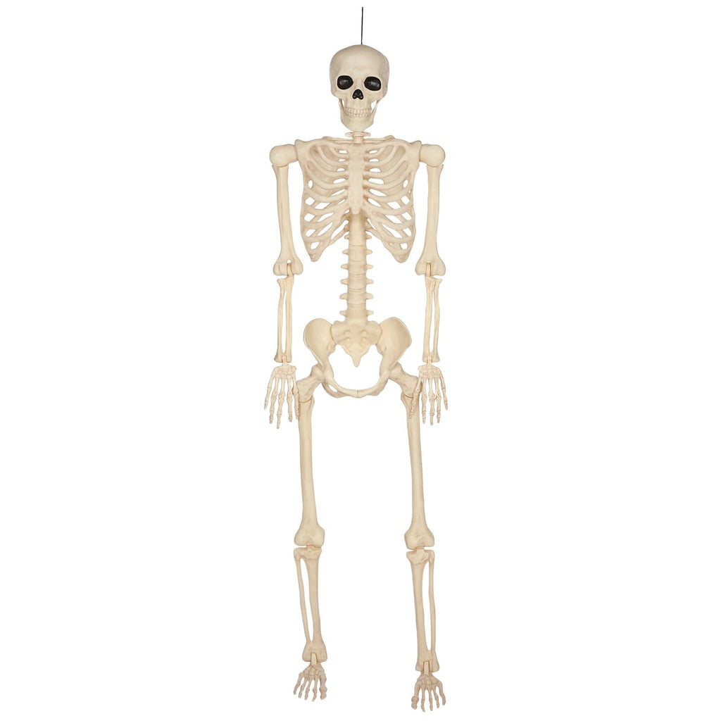5 Ft Life-Size Full Body Skeletons Z78165