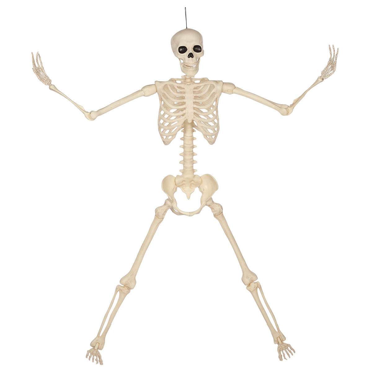 5 Ft Life-Size Full Body Skeletons Z78165