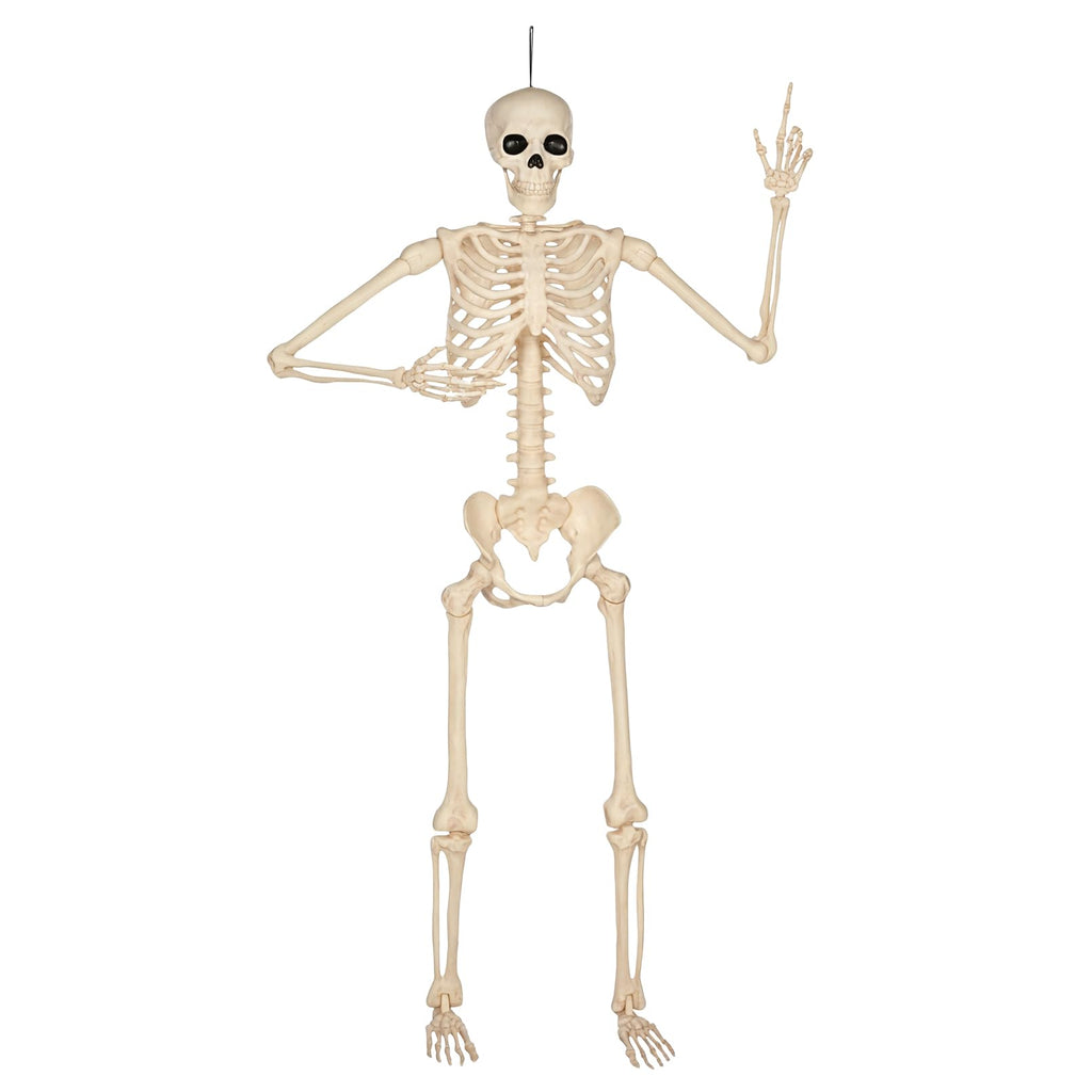 5 Ft Life-Size Full Body Skeletons Z78165