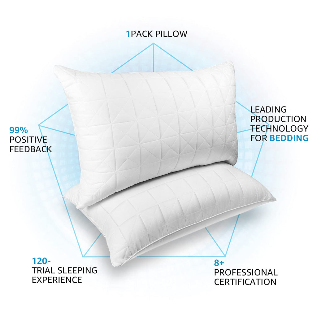 King Size Down Alternative Pillows Set of 2 Z3563