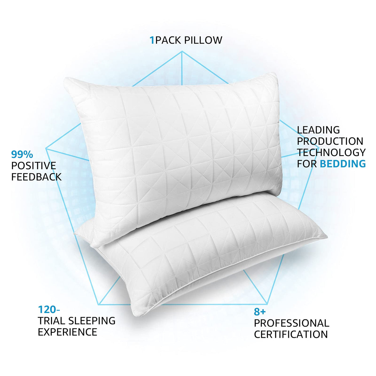 King Size Down Alternative Pillows Set of 2 Z3563
