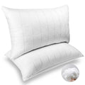 King Size Down Alternative Pillows Set of 2 Z3563