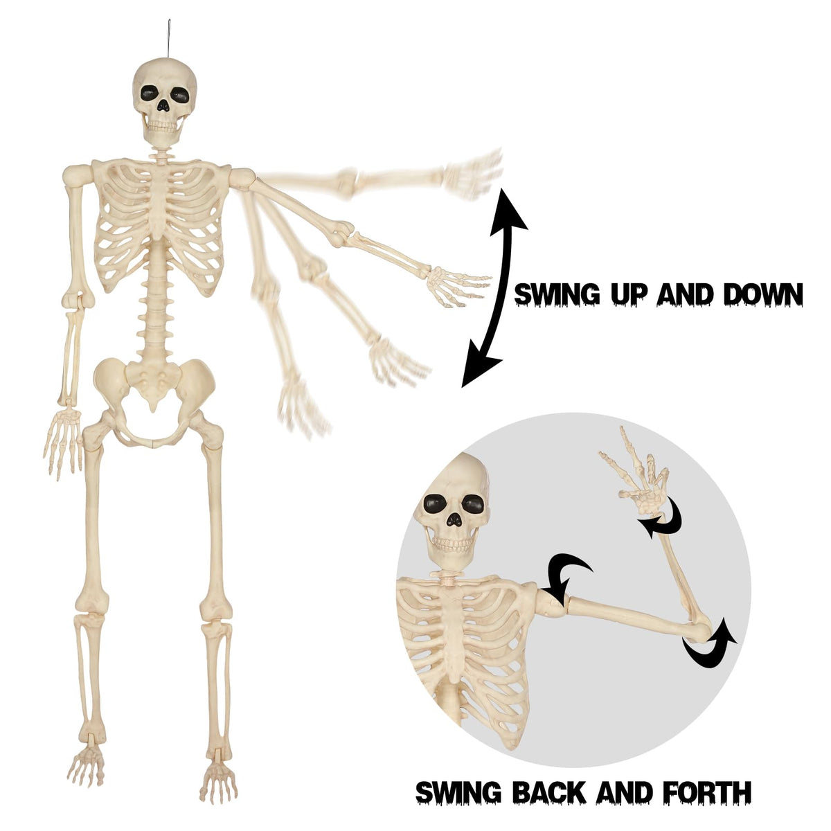 5 Ft Life-Size Full Body Skeletons Z78165
