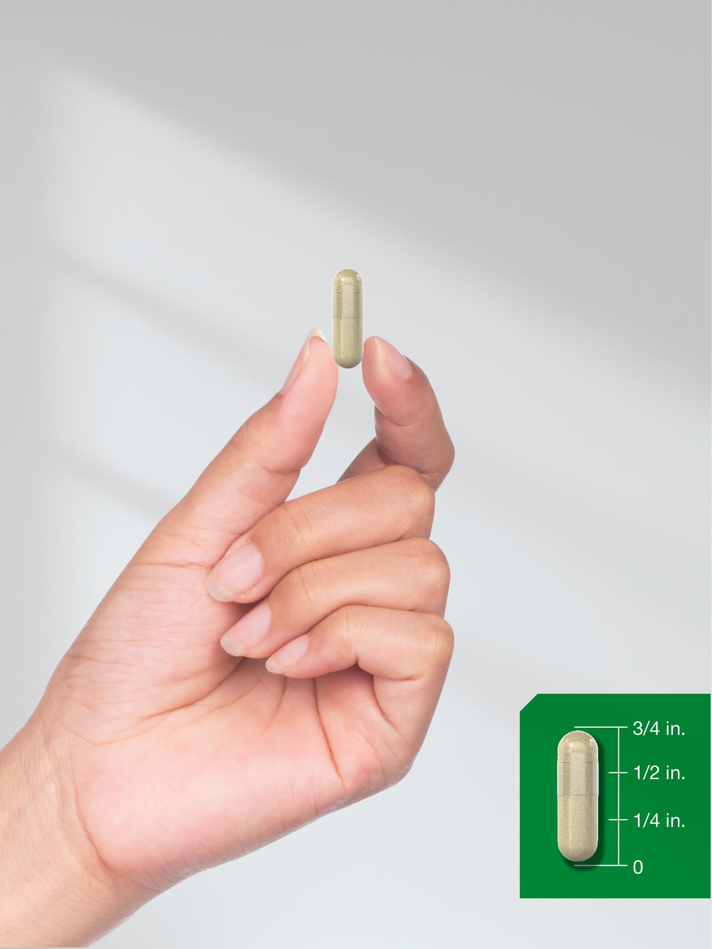 Moringa Oleifera 300 Capsules Q993