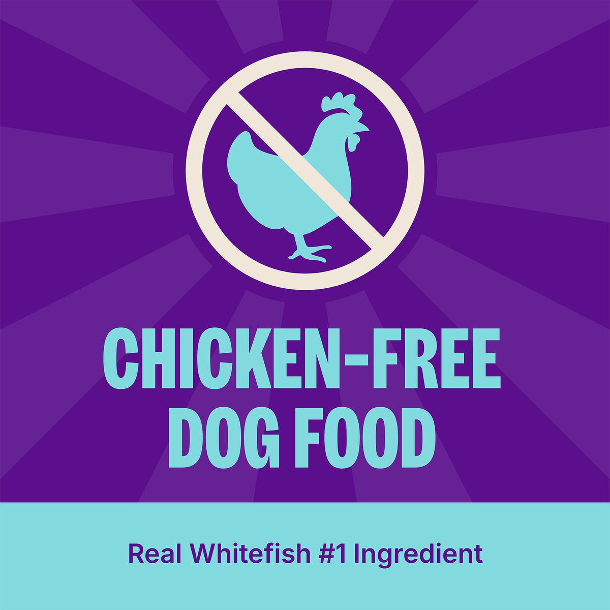 Dry Dog Food Whitefish and Brown Rice 4 lb Bag K585307