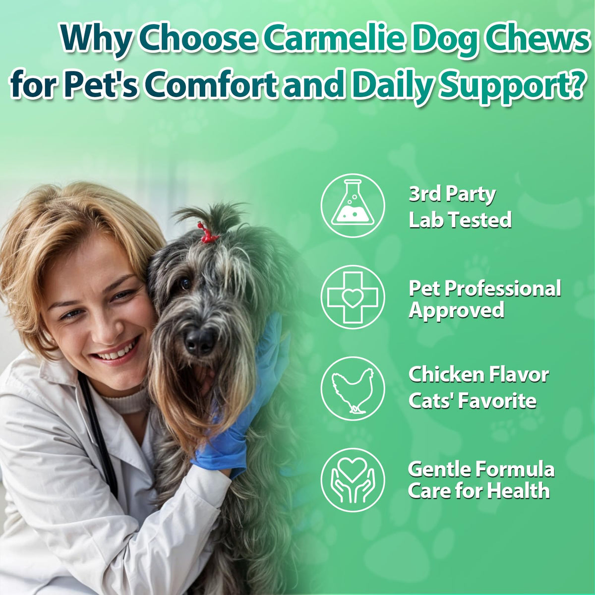 Flea and Tick Prevention for Dogs Chewables, 200 Soft Chews D76606