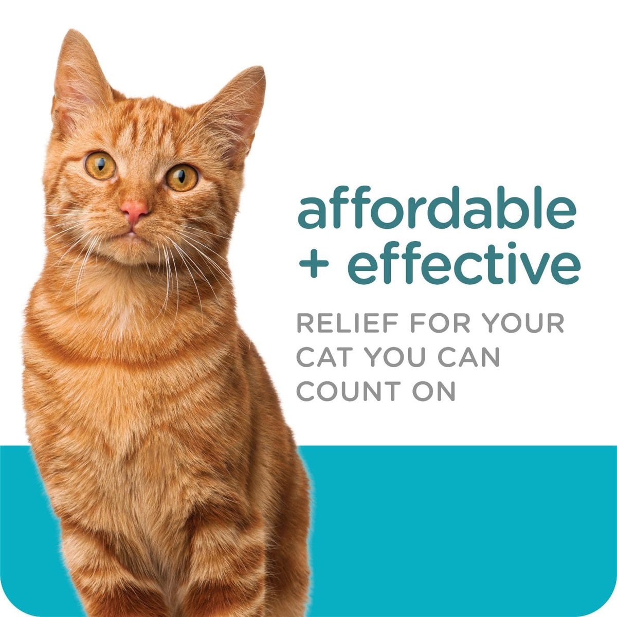 Flea & Tick Topical Cats 3-Month H2327