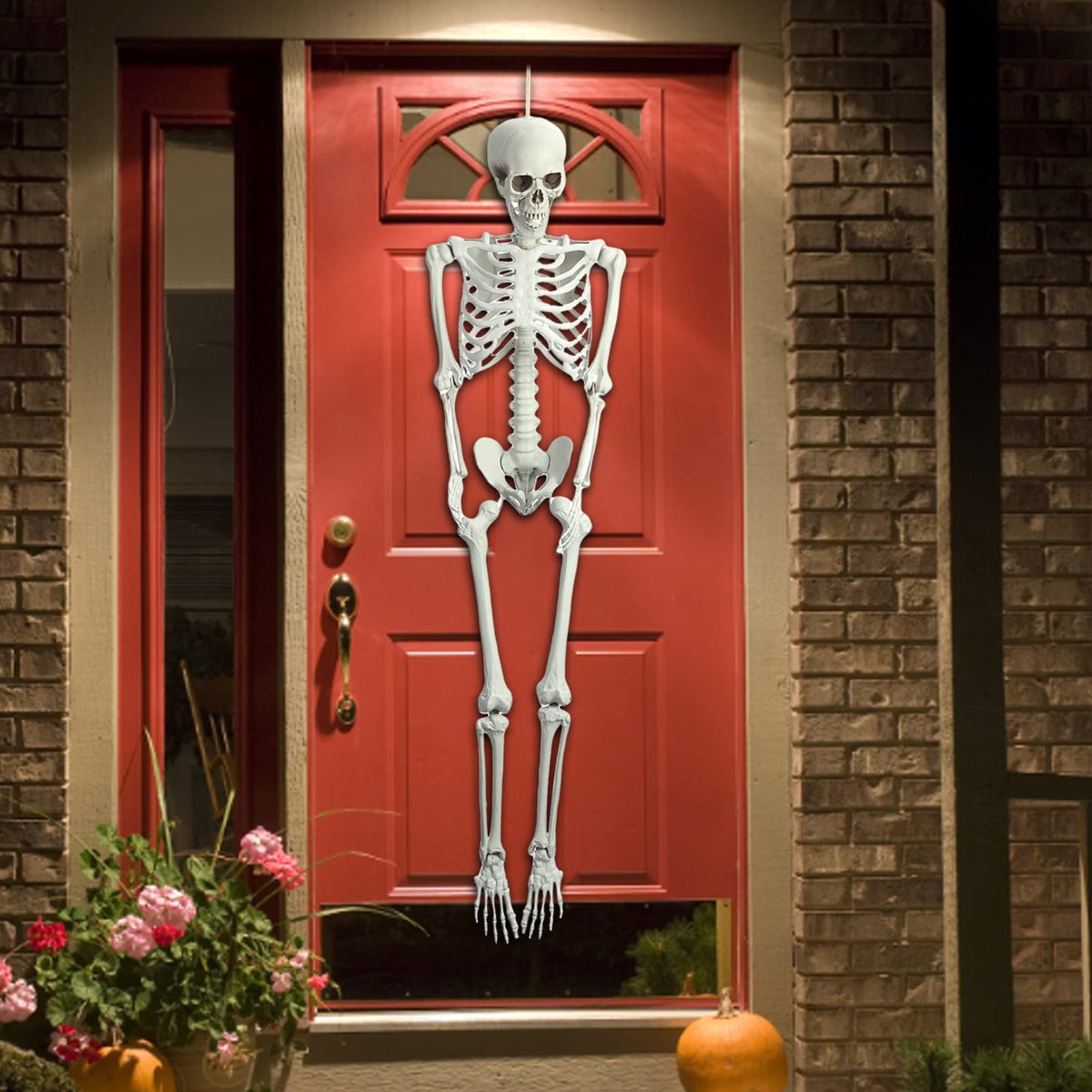 5.4FT Poseable Life Size Plastic Skeleton L86110