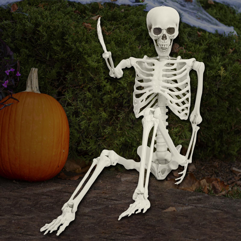 5.4FT Poseable Life Size Plastic Skeleton L86110