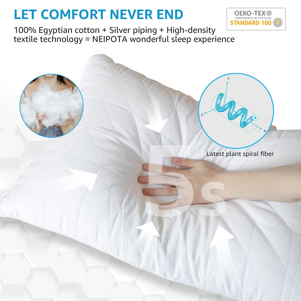 King Size Down Alternative Pillows Set of 2 Z3563