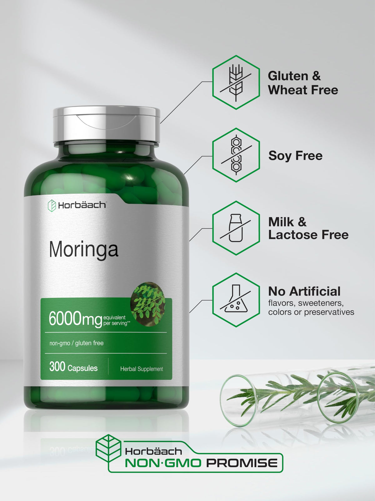 Moringa Oleifera 300 Capsules Q993
