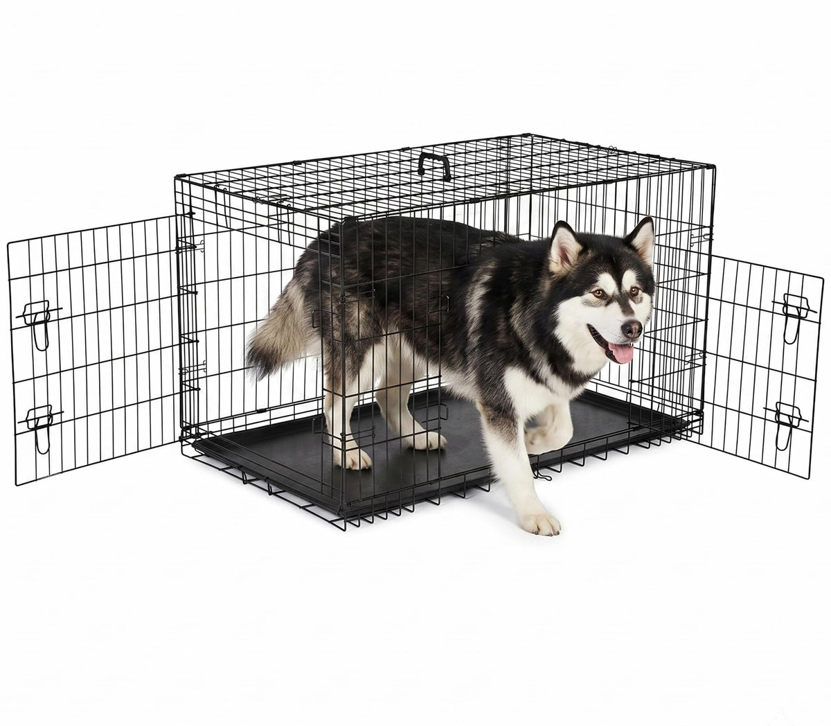 48 inch Folding Metal Wire Dog Crate with Double Door Z609