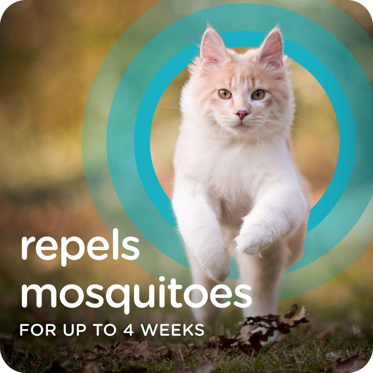 Flea & Tick Topical Cats 3-Month H2327