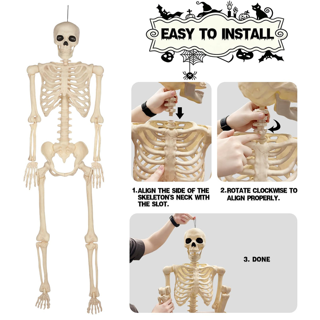 5 Ft Life-Size Full Body Skeletons Z78165