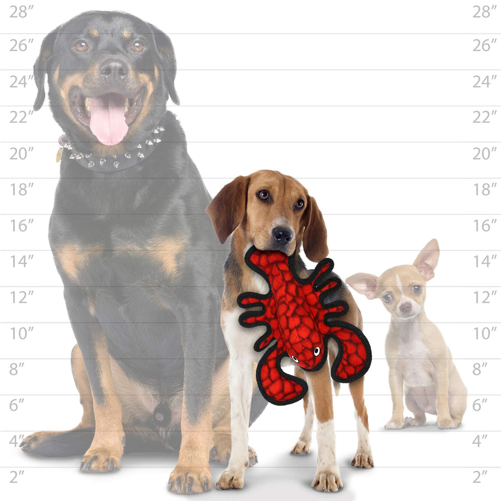 2 Pack Ultra Durable Plush Dog Toy O1486