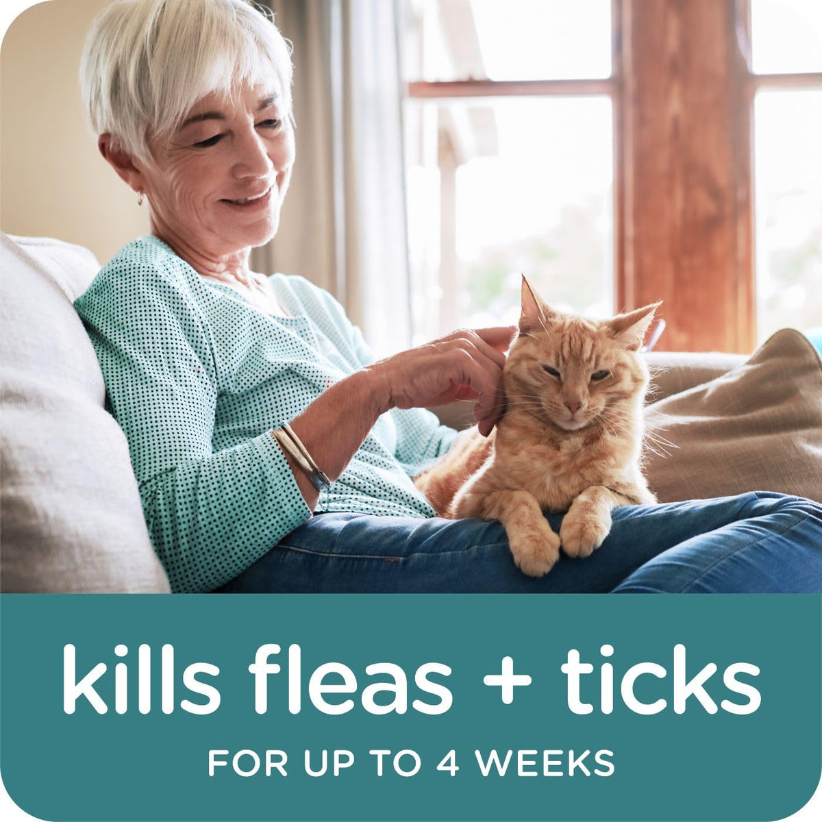 Flea & Tick Topical Cats 3-Month H2327