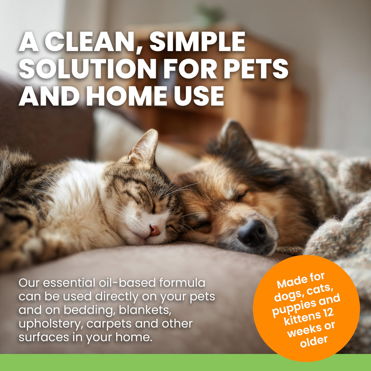 Plant-Based Flea & Tick Spray for Dogs & Cats C240