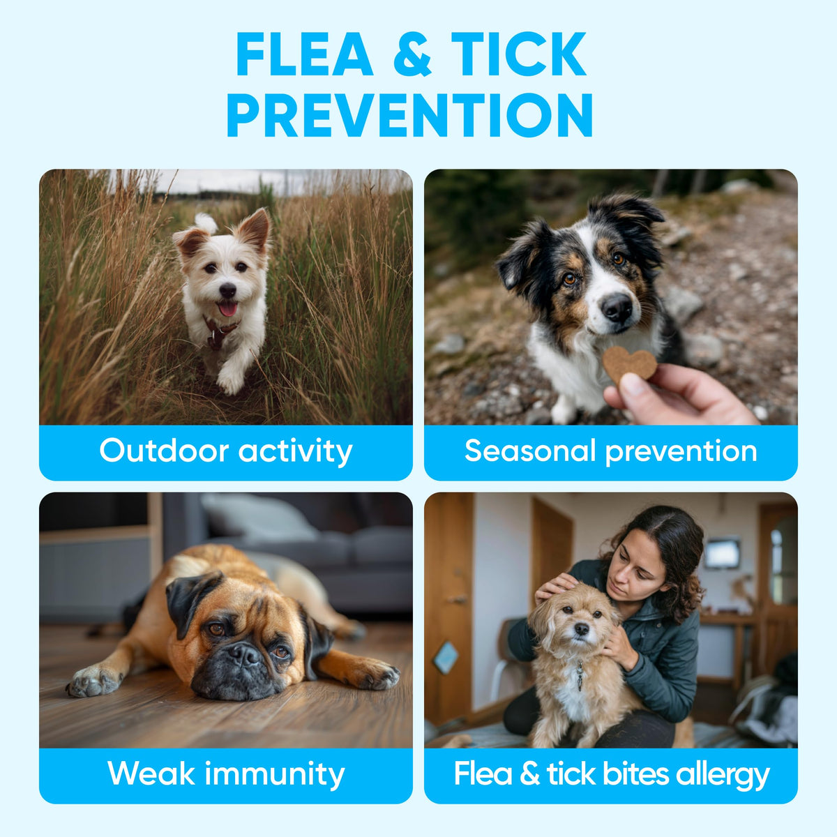 Chewable Flea and Tick Prevention for Dogs 120 Soft Chews Q464286