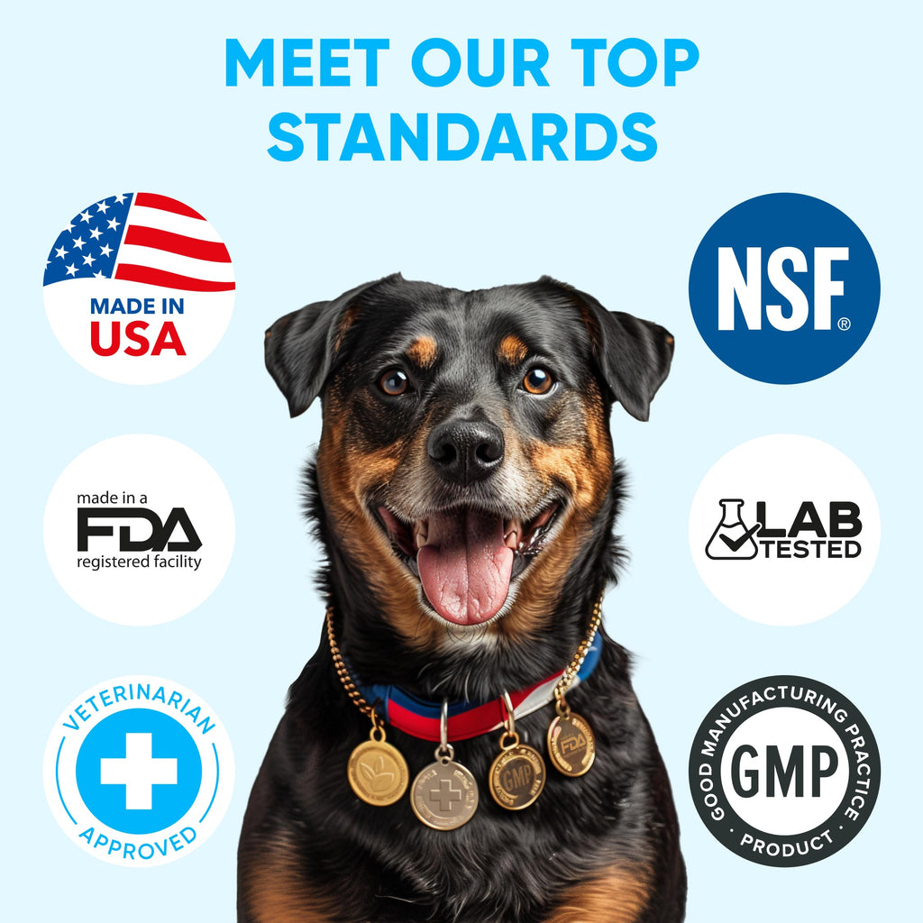 Chewable Flea and Tick Prevention for Dogs 120 Soft Chews Q464286