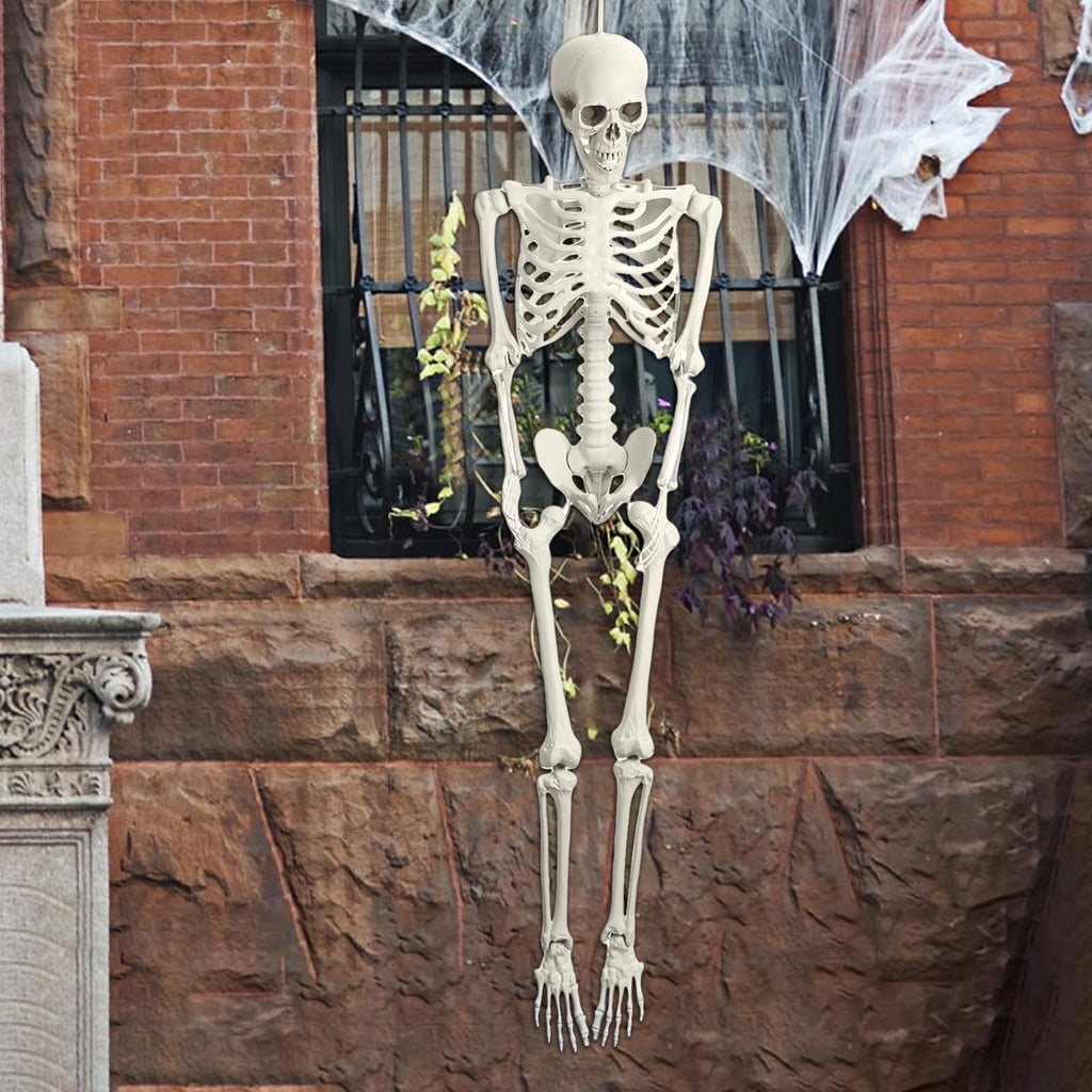 5.4FT Poseable Life Size Plastic Skeleton L86110