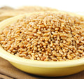 Hard White Spring Wheat Berries, 50 Lb. Bag J6764