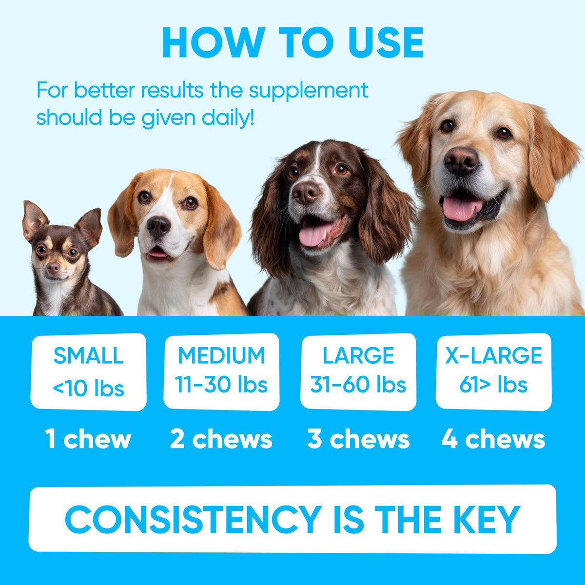 Chewable Flea and Tick Prevention for Dogs 120 Soft Chews Q464286