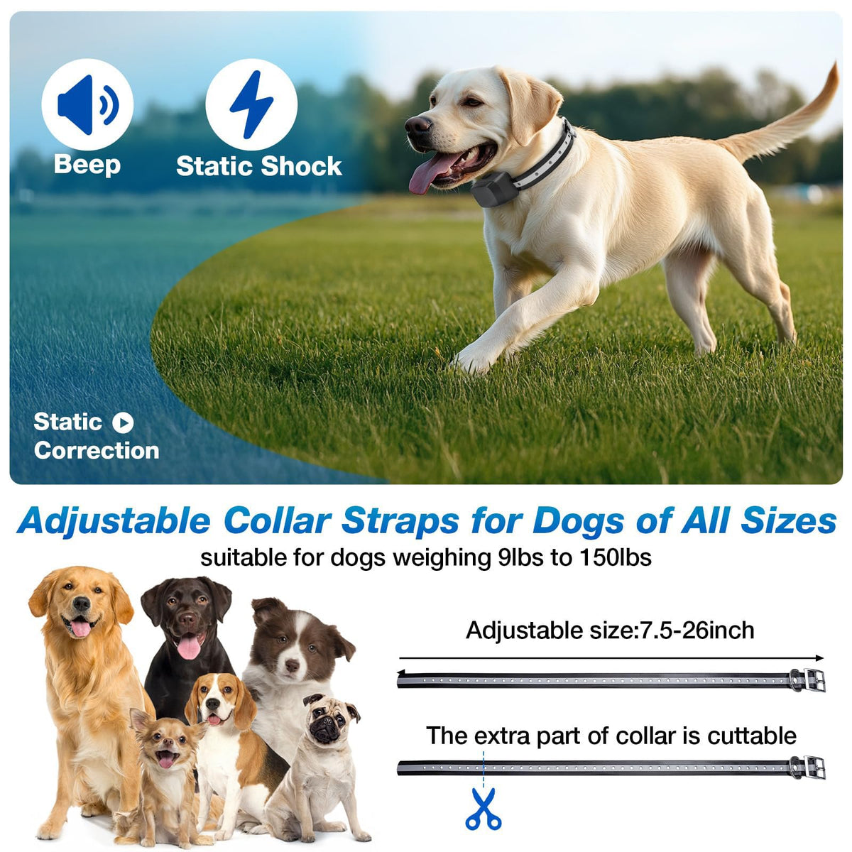 Electric Dog Fence Containment System with Waterproof Training Collar F5796