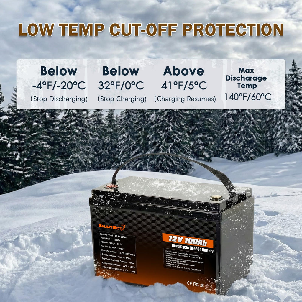 12V 100Ah LiFePO4 Lithium Battery, 100A BMS Deep Cycle Battery with Low Temp Cut Off, 2 Pack U100523