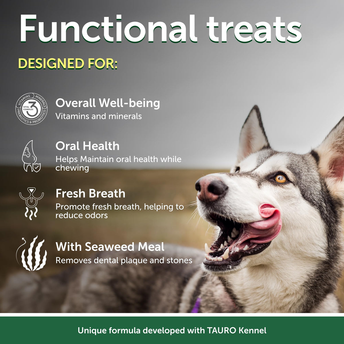Dog Dental Sticks 5.29oz N630