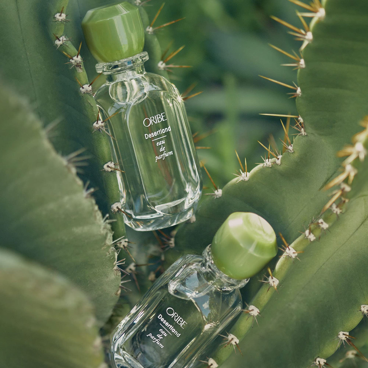 Eau de Parfum W214